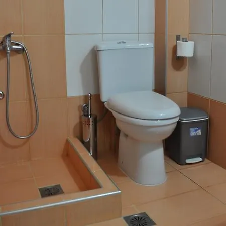 Apartment Danis